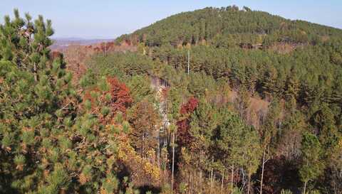 60 Thirteen Hundred, Blairsville, GA 30512