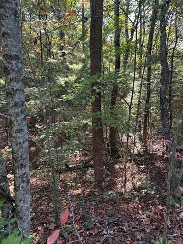 Lot 3 Marjorie Ave, Ellijay, GA 30536