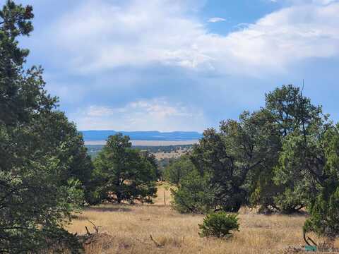 136 Ponderosa View Loop Road, Pie Town, NM 87827