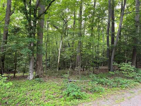 Lot 116 Hickory Road, Lancaster, VA 22503