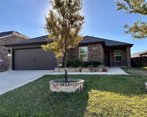 709 Meadow Wood Lane, Princeton, TX 75407