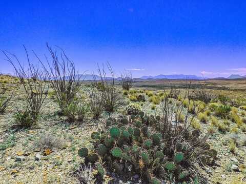 21274 Feldspar St., Terlingua, TX 79852