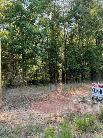 0 Co Rd 2201, Goshen, AL 36035