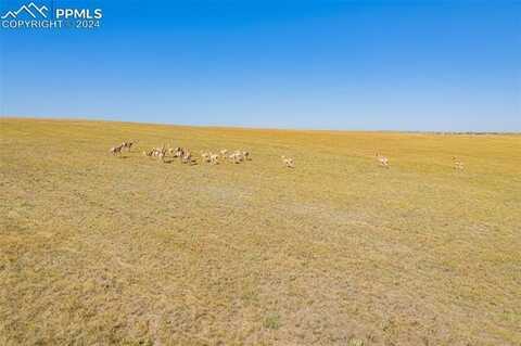 8150 Cowboy Ranch View, Peyton, CO 80831