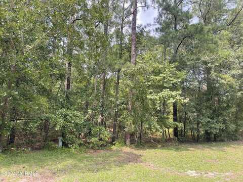 Tbd Country Ln Lane, Ellerbe, NC 28338