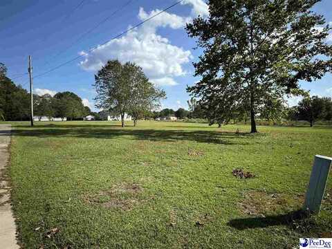 TBD Mclaughlin Rd, Effingham, SC 29541