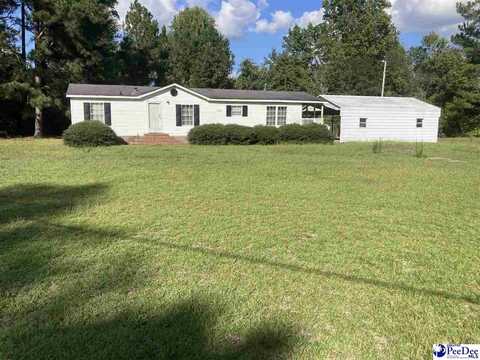 1005 Oscar drive, Hamer, SC 29547