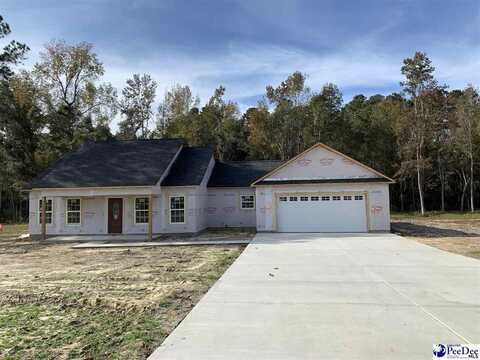 7405 E National Cemetery Road, Florence, SC 29506