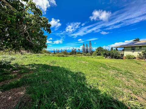 Waieli St, Maunaloa, HI 96770