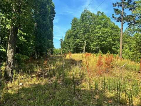 151 NC 4501, Mt. Judea, AR 72655