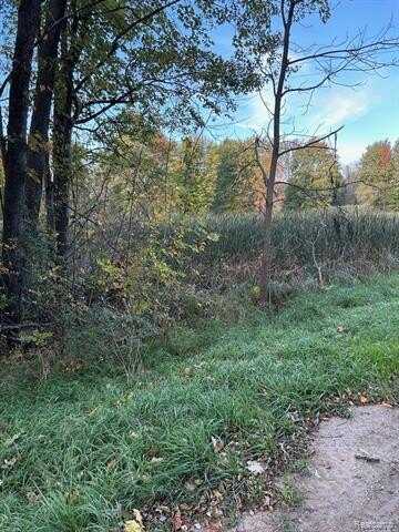 000 HICKORY NUT HOLLOW, Howell, MI 48843