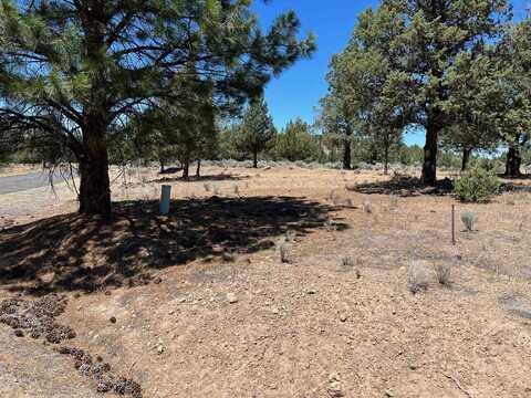 9-1 Lot 180 Shadyridge Rd, Weed, CA 96094