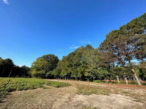 Lot B1&C CLAM COURT, BELLE HAVEN, VA 23306