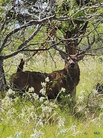 1988 CR 116, Rogers, TX 76569