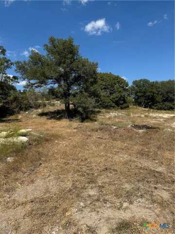 Lot 6 Bowles Ranch Road, Belton, TX 76513