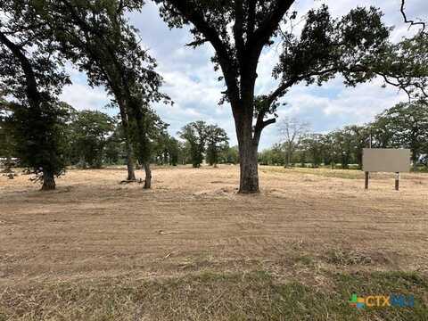 11296 US Highway 87 Highway, La Vernia, TX 78121