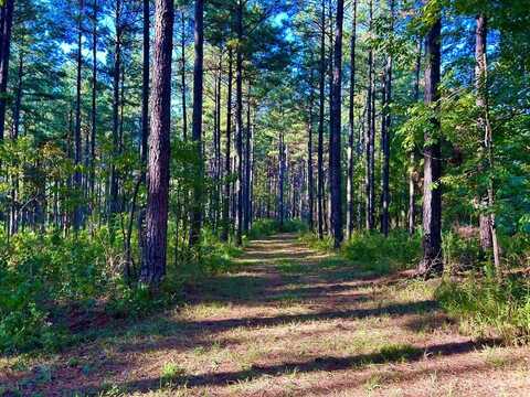 TBD Westbrook Road, Smithdale, MS 39664