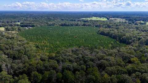 00 COUNTY LINE ROAD, Summit, MS 39666