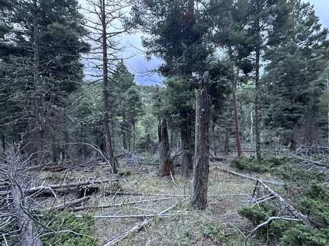 Lot 279 Vail Loop, Angel Fire, NM 87710