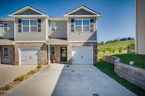 62 Moon Rock Court, Johnson City, TN 37615