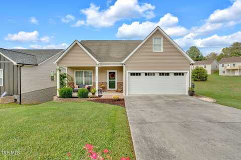 239 Bradford Lane, Bristol, TN 37620