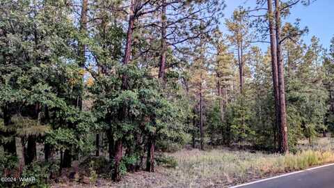 2095 S Pine Lake Road, Pinetop, AZ 85935