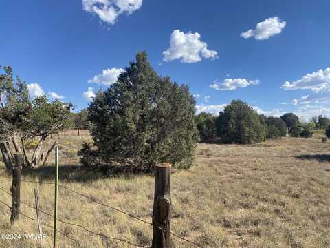 2146 Copper Road, Clay Springs, AZ 85923