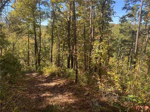 Spider Creek, Jasper, AR 72641