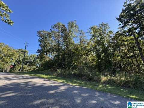 8600 LAKE DRIVE, BESSEMER, AL 35022