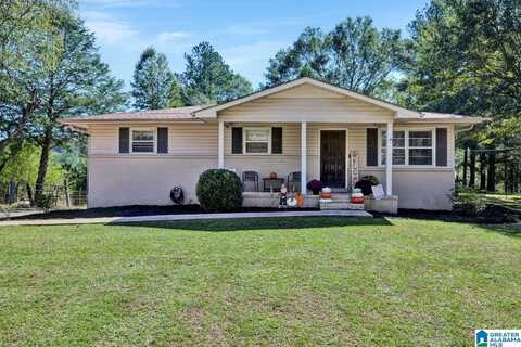 8908 AL HIGHWAY 91, HANCEVILLE, AL 35077