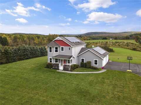 47 Hollister Road, Dryden, NY 13068