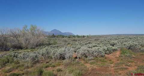 TBD E Empire Street, Cortez, CO 81321