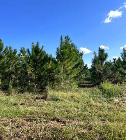 Lot 3 10th St, Bell, FL 32619