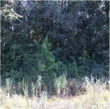 3224 St Stephens Road, Whistler, AL 36612
