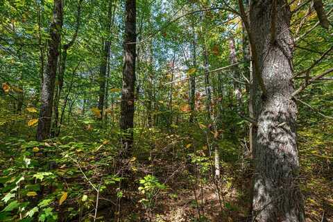 Off BOUNDARY TR E, Lac du Flambeau, WI 54538