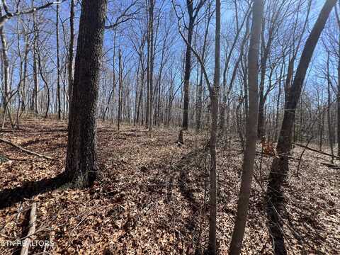 Lot 590 Stone Haven Tr, Jamestown, TN 38556