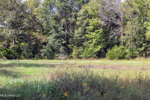 391 300, Big Creek, MS 38914