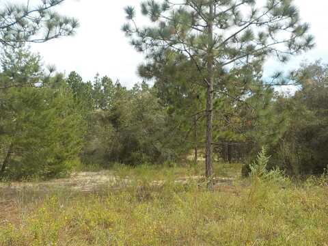 Lot 21 SW FLORAL COURT, DUNNELLON, FL 34431