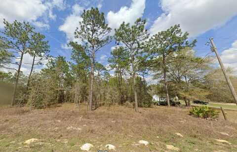 SW 94TH LANE, DUNNELLON, FL 34432