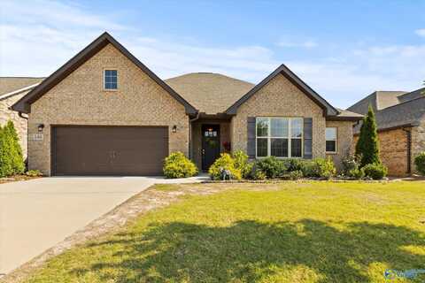 146 Willow Bank Circle, Decatur, AL 35603