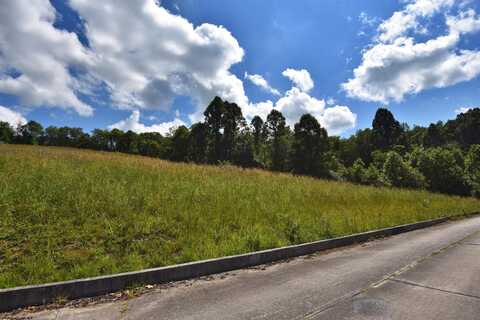 Lot 40 Birch Street, Grafton, WV 26354