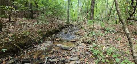 22.65 Ac Letch Drive, Ellijay, GA 30540