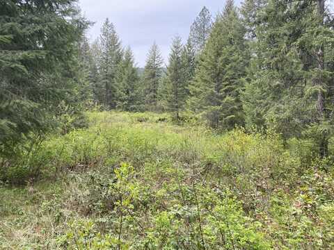345X LAEL ROAD, KETTLE FALLS, WA 99141