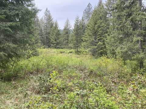 345X LAEL ROAD, KETTLE FALLS, WA 99141