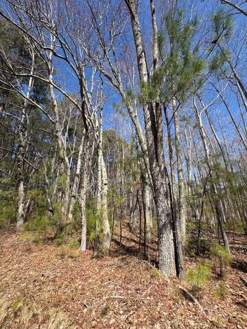 000 Liberty Rd, Reedville, VA 22539