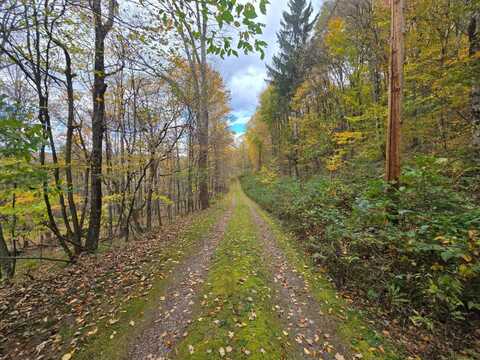 0WP Glen Burnie Rd, Delhi, NY 13753