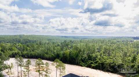 Lot100 Wiley Scott Rd, Jay, FL 32565