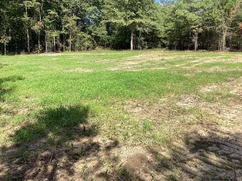 500 Adams Ln, Highland Home, AL 36041