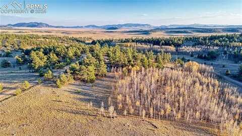 2074 Yellowstone Road, Hartsel, CO 80449