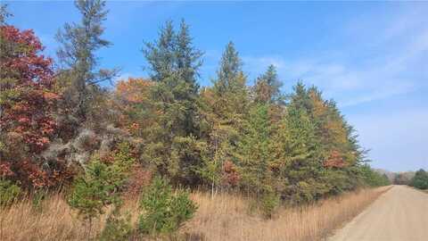 Tbd Stoneback Trail, Backus, MN 56435